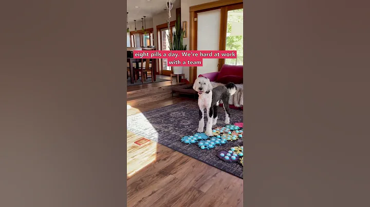 She blows my mind again🤯 #iambunny #fluentpet #medicine