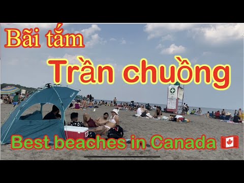 Video: Bãi biển đẹp nhất Toronto