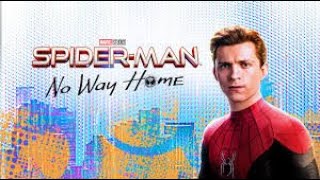 SPIDER-MAN : NO WAY HOME :  MUVI REKAP