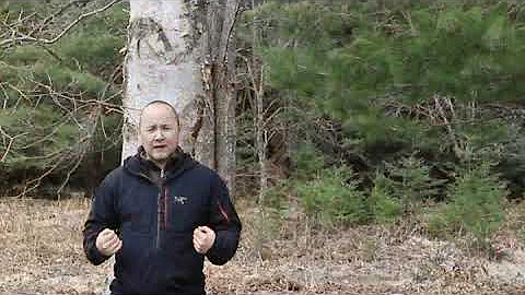 Tree Species with Anishinaabe historian Eric Hemenway: Birch