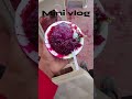 mini vlog