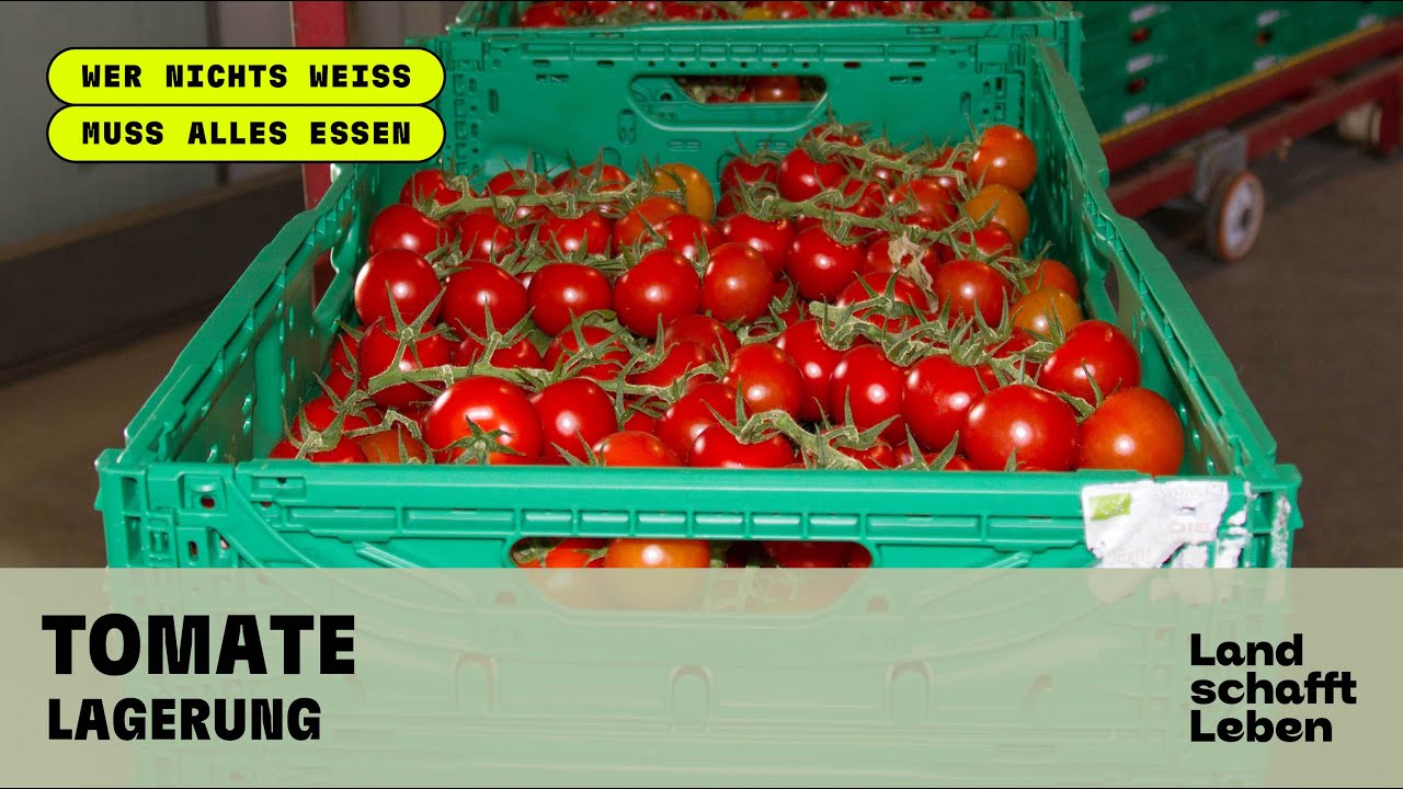 Tomate - Lagerung