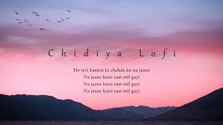 Chidiya Lofi - Lyrical Video || Ft. Vilen || Dev Bhawsar || Indian Lofi songs || Slowed and Reverb