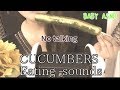 【ASMR*咀嚼音】No talking★きゅうりの一本漬けを食べる音🥒Whole pickled CUCUMBERS eating sounds【音フェチ】