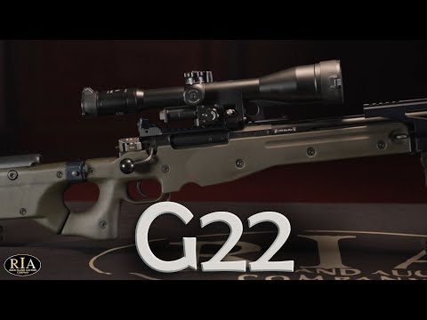 Accuracy International G22 - 저격총 22