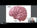 Understanding the Nervous System and the Brain