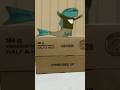 A sneak peek at the fishy fish market #animatic