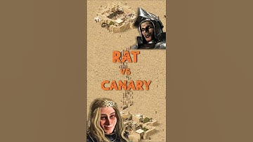 Rat vs Canary | Stronghold Crusader: DE #strongholdcrusader #gameplay #rts #fireflystudios