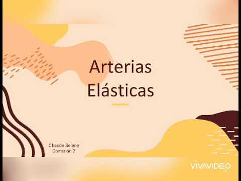 Vídeo: Diferencia Entre Arterias Elásticas Y Musculares