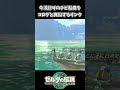 今流行りのチビ船長をコログと再現するリンクｗｗ【ゼルダの伝説 ティアーズ オブ ザ キングダム】