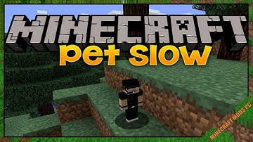 Pet Slow Mod 1.14.4/1.12.2 Download - How to install it for Minecraft PC