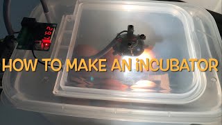 DIY02 - How to make an incubator