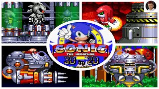 Sonic 3D in 2D (Sonic Fan Game) All Bosses + Good Ending