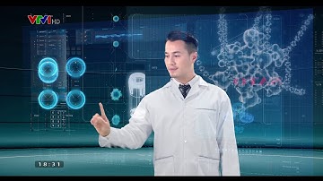 VTV1 HD - Quảng cáo Máy lọc nước Sato: Phong cách Nhật - Hạnh phúc VIệt