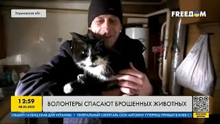 Волонтёры из Харькова спасают брошенных животных