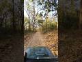കൊടുകാട്ടിലൂടെ#viral#wildlife#short#shorts#wildanimals#safari#safaricar#junglesafari#shorts#short#yt