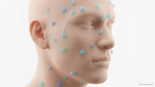 Homeostasis — How Your Body Stays in Balance