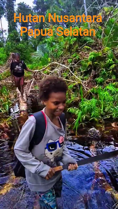 hutan Nusantara Papua Selatan Asmat #nature #storywa #natural #masukberanda #storytime #pejuangrupia