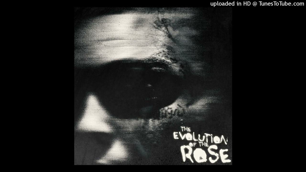 Lil Skies - Benjis (432hz)