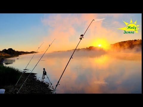 Видео: Донки Крокодил. Правильная Оснастка и Правильное Время 👍. Рыбалка С Ночёвкой.