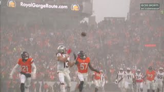 Flea Flicker in the Snow!