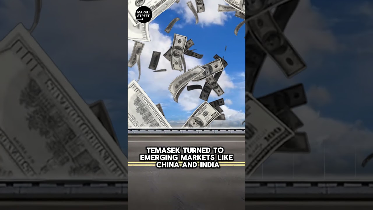 🇸🇬 This is the story of Temasek 🚀