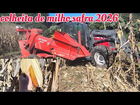 Colheita do milho safra 2026