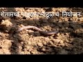 गांडूळ वाढविण्याचे उपाय व फायदे