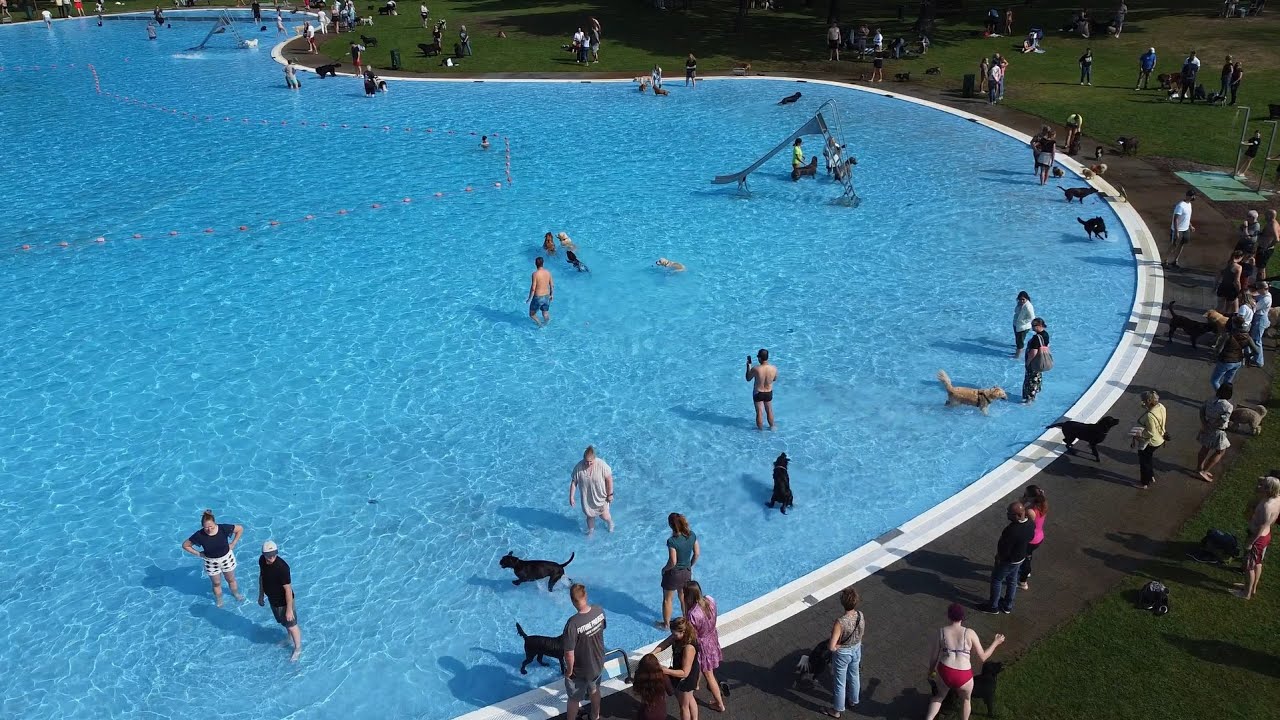 Hondenplons 2024 Valkenswaard