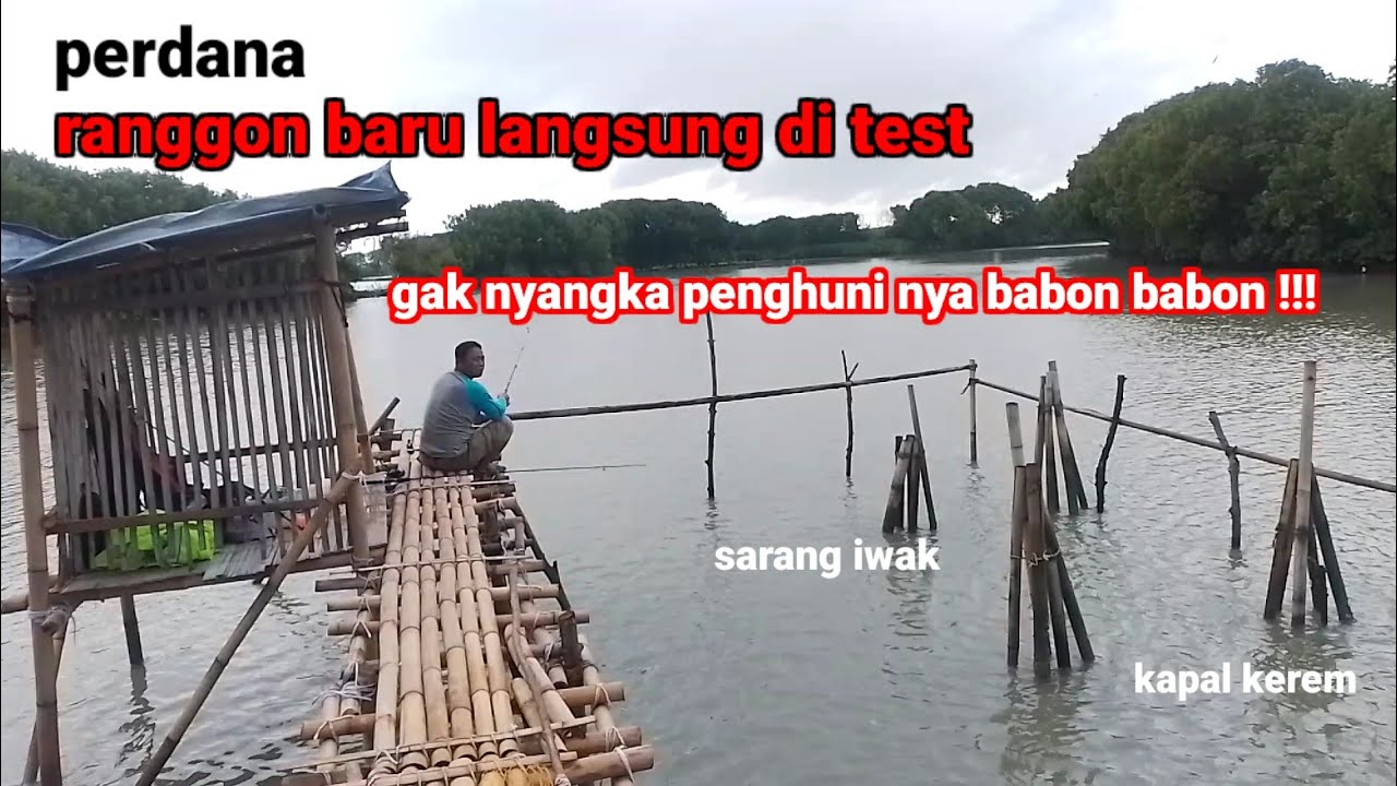 Ngeri Ranggon baru jadi langsung di test // penghuni nya babon semua !!!