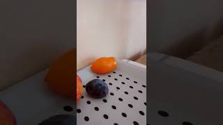 Эрдоган и зерновая сделка,9.9.23