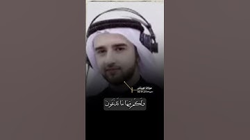 سورة فصلت الاية 31-32