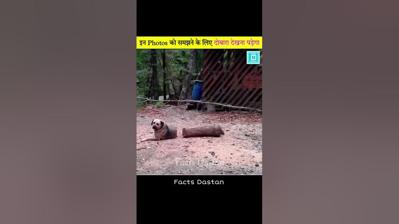 A4%E0%A4%B8%E0%A5%8D%E0%A4%B5%E0%A5%80%E0%A4%B0%E0%A5%87%E0%A4%82_%E0 ...