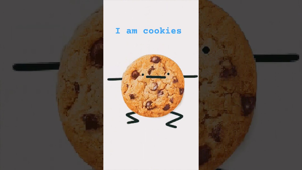cookies #cat - YouTube