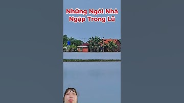 hồ Dầu Tiếng xả nước ảnh hưởng những căn nhà và đám ruộng gần sông Vàm Cỏ Đông bi ngập