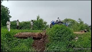 Tree trunk pulled out from deep ditchπ³π³π³π³π³π³π³π³
