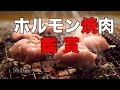 [焼肉] [BBQ] ホルモン焼肉