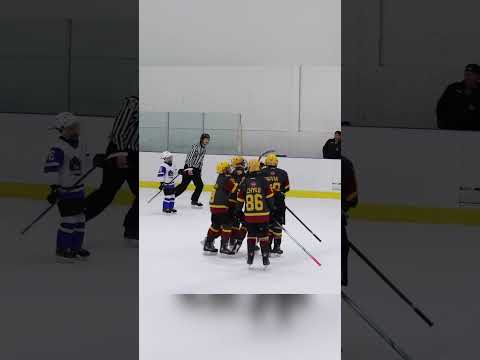 Bal Seals The Deal Cellyentertainment Hockey Hpl Goals Shorts