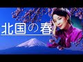 北国の春 Spring of the North---鄧麗君 Teresa Teng テレサ・テン 日文演歌(懷念經典日文歌曲)