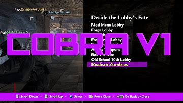 COD WAW | Cobra v1 | Realism Zombies