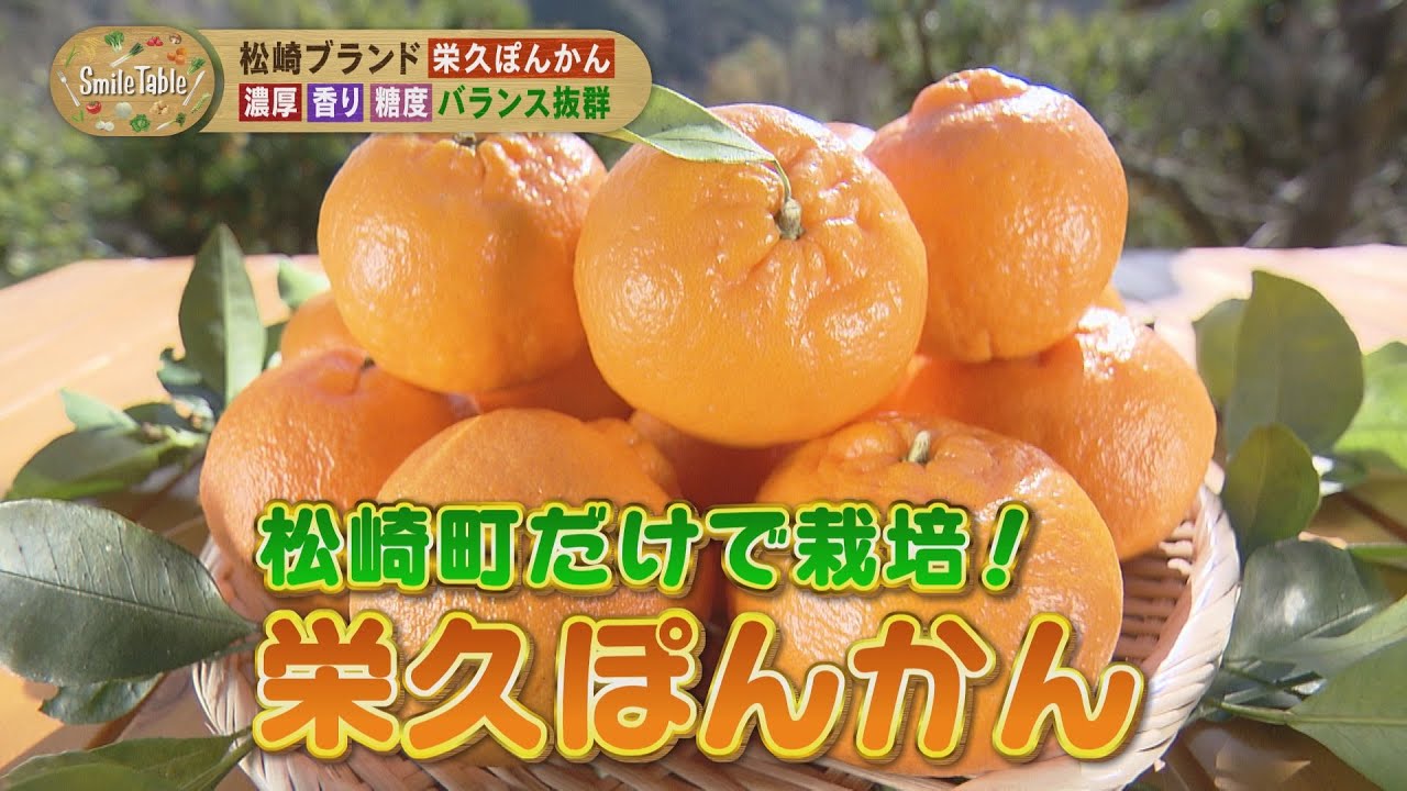 SmileTable～幻のポンカン「栄久ぽんかん」～