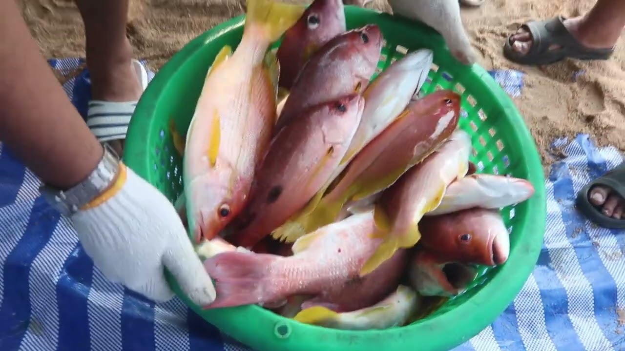 เปิดการแข่งขันตกปลาเชิงวิถีถิ่นชุมชนบางเสร่ Bangsaray Fishing Games ครั้งที่ 9 เรือกว่า100ลำมุ่งสู่ท