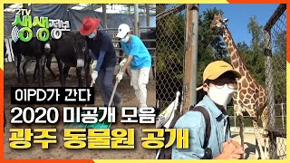 [2TV 생생정보] 이PD의 2020 고군분투 노동기 & 광주 무료 동물원 미방송분 대공개! KBS 20201222 방송