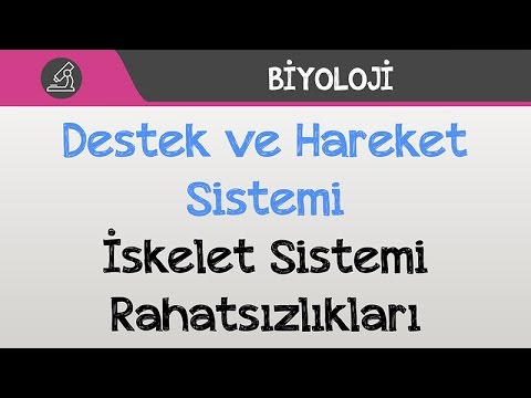 İnsan Fizyolojisi - Destek ve Hareket Sistemi / İskelet Sistemi Rahatsızlıkları