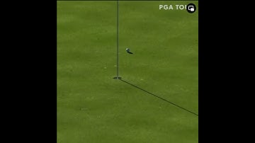 Robot hits a hole-in-one