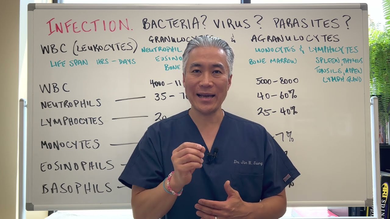 Инфекция. Бактерии? Вирус? Паразиты?