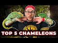 The BIGGEST Chameleon on Earth and 5 More You&#39;ve Never Heard Of!