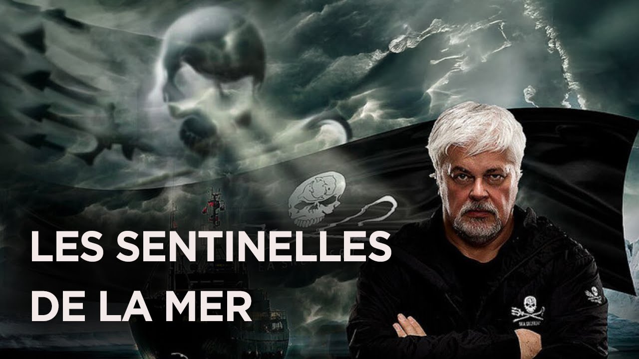 Sea Shepherd: Guardians of the Oceans - Пол Уотсон - Всемирный документальный фильм - ДНК