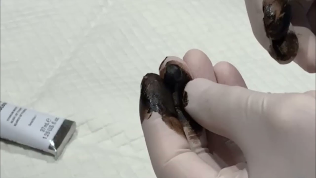 Coloring Epoxy Putty