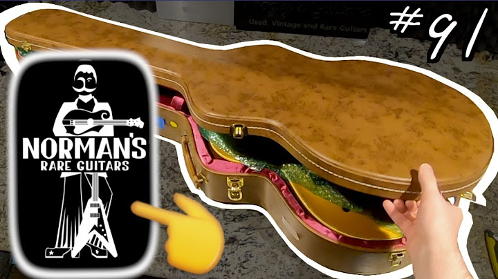 I Bought Something GOOD From Norm's Rare Guitars! | Trogly's Unboxing Guitar Vlog #91